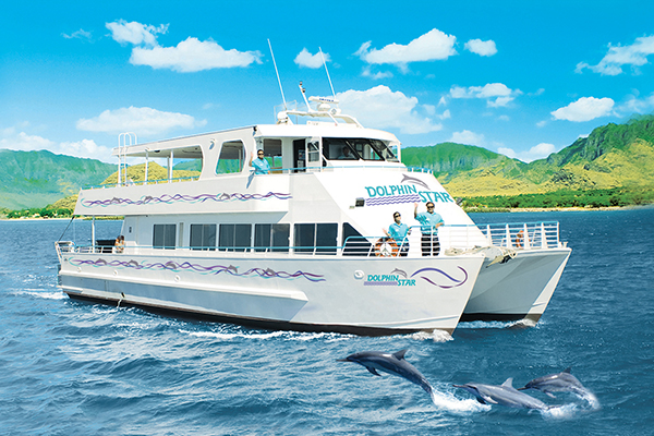 Dolphin-Star-Dolphin-Cruise-01