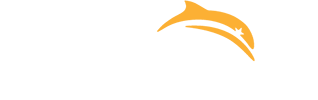 Dolphin-Star-Logo-Banner